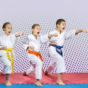 Martial Arts Lessons for Kids in Centreville VA - Punching Focus Kids Sync